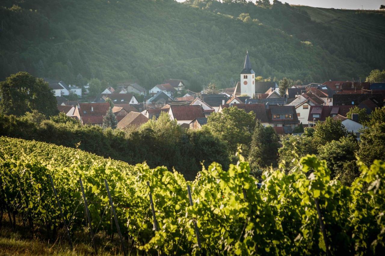 Hotel Schmidtburger Hof Weiler bei Monzingen Exteriér fotografie